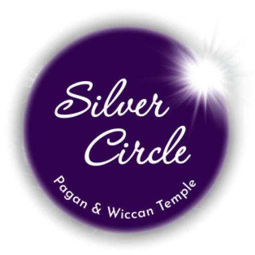 Silver Circle and eclipse icon logo